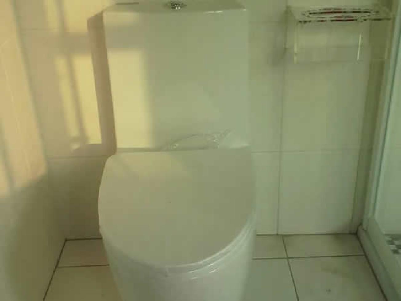 高級廁所安裝