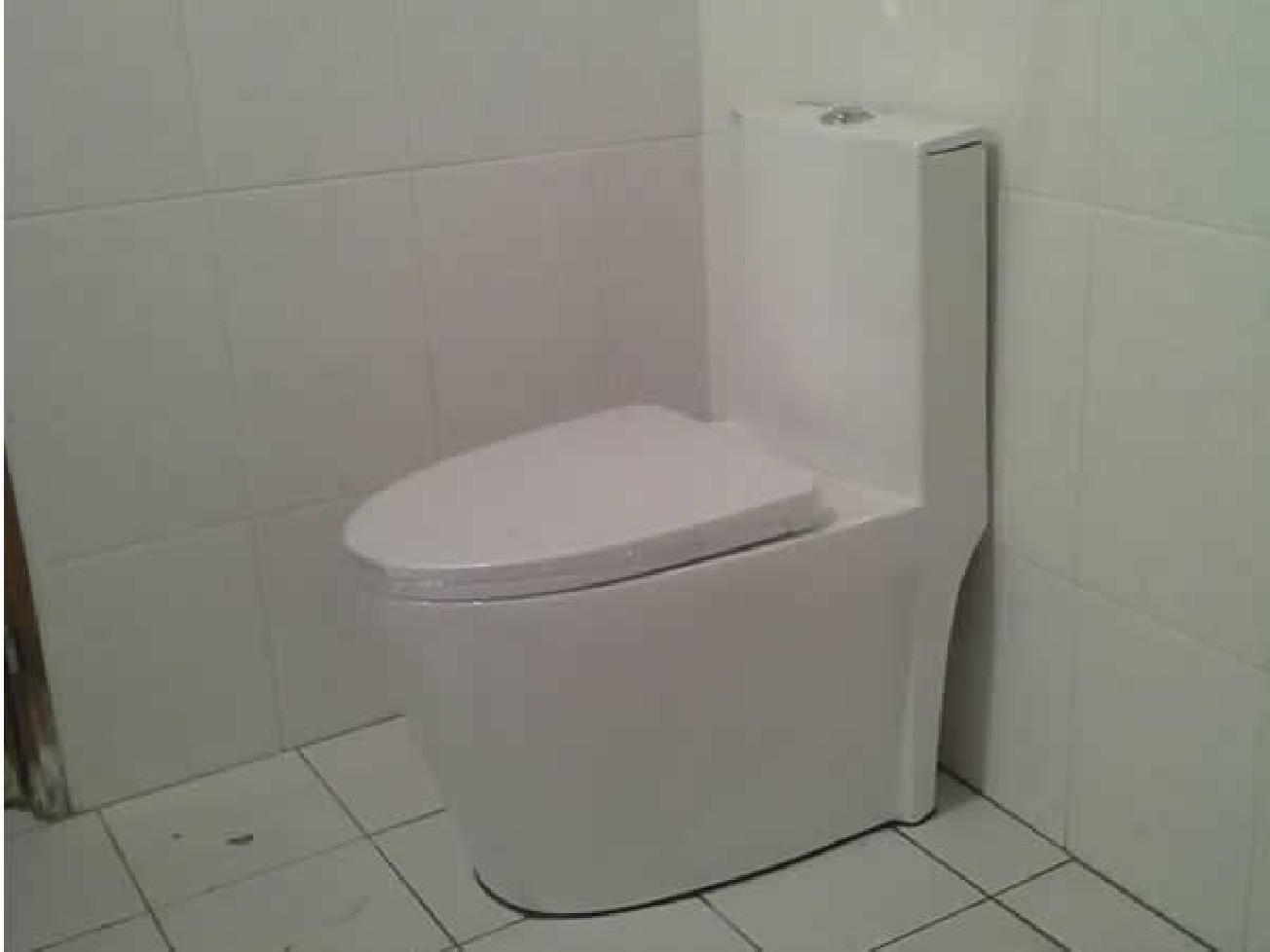 高級廁所安裝